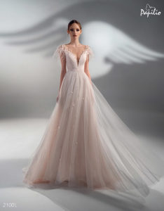 Collezione Papilio